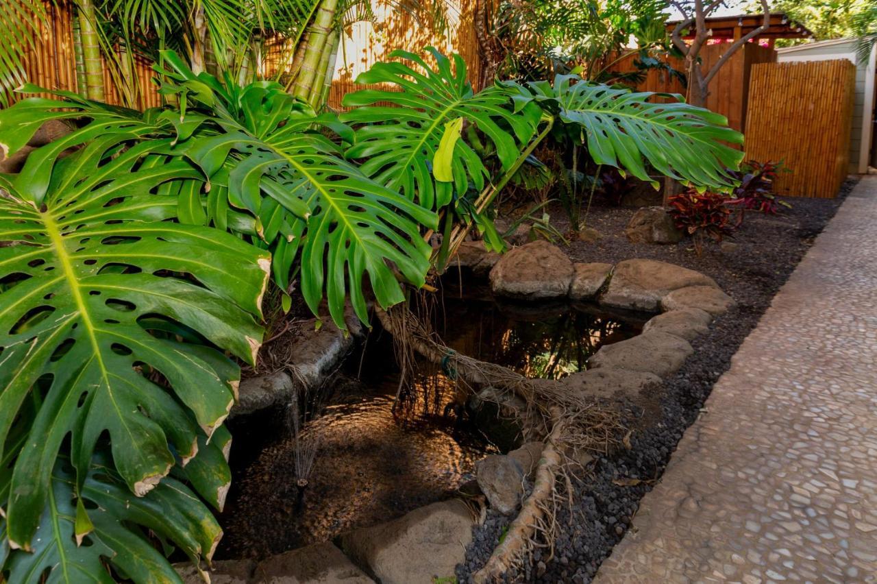 Studio With Mini Kitchen, Pool And Bbq, Pre-Renovation Summer Sale Kihei Esterno foto