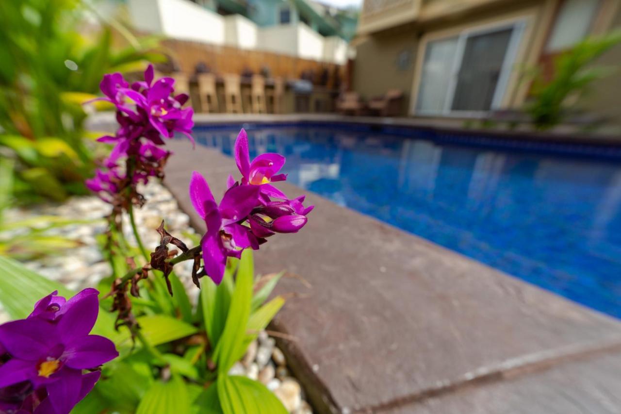 Studio With Mini Kitchen, Pool And Bbq, Pre-Renovation Summer Sale Kihei Esterno foto