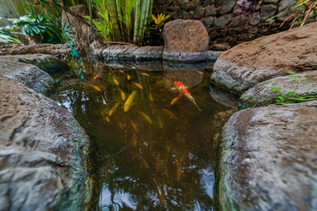 Studio With Mini Kitchen, Pool And Bbq, Pre-Renovation Summer Sale Kihei Esterno foto